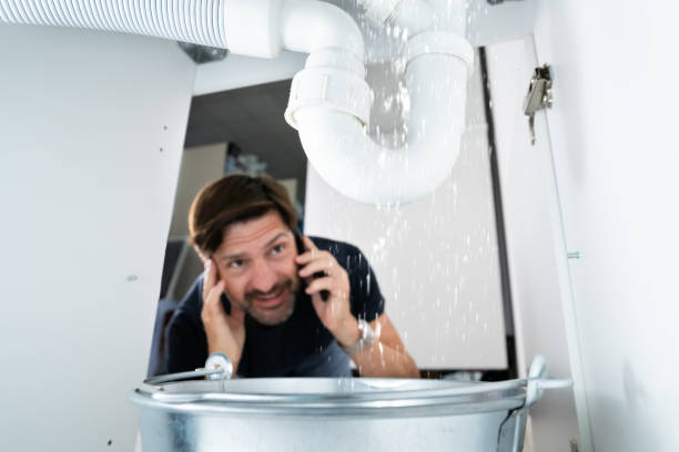 Best Sewer Line Repair  in Mount Pulaski, IL