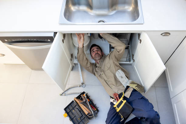 Best Same-Day Plumbing Service  in Mount Pulaski, IL