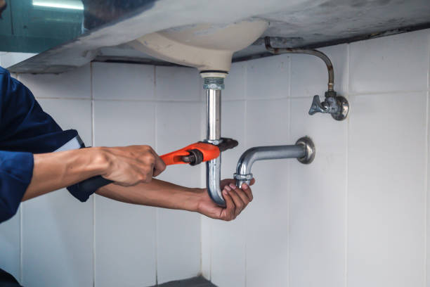 Best Emergency Plumbing Repair  in Mount Pulaski, IL