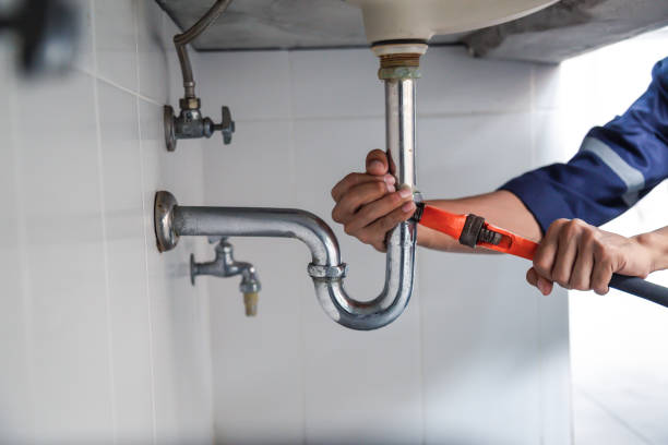 Best Water Leak Repair  in Mount Pulaski, IL