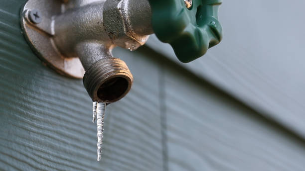 Best Water Softener Installation  in Mount Pulaski, IL