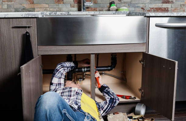 Best Affordable Plumber Near Me  in Mount Pulaski, IL