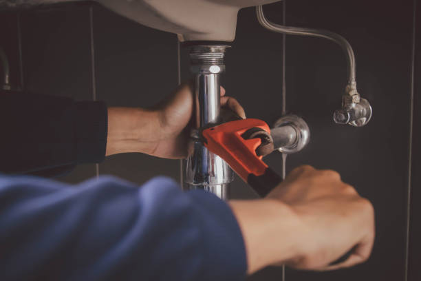 Best Best Plumbers Near Me  in Mount Pulaski, IL