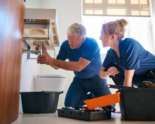 Best Emergency Plumber  in Mount Pulaski, IL