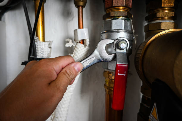 Best Commercial Plumbing Services  in Mount Pulaski, IL